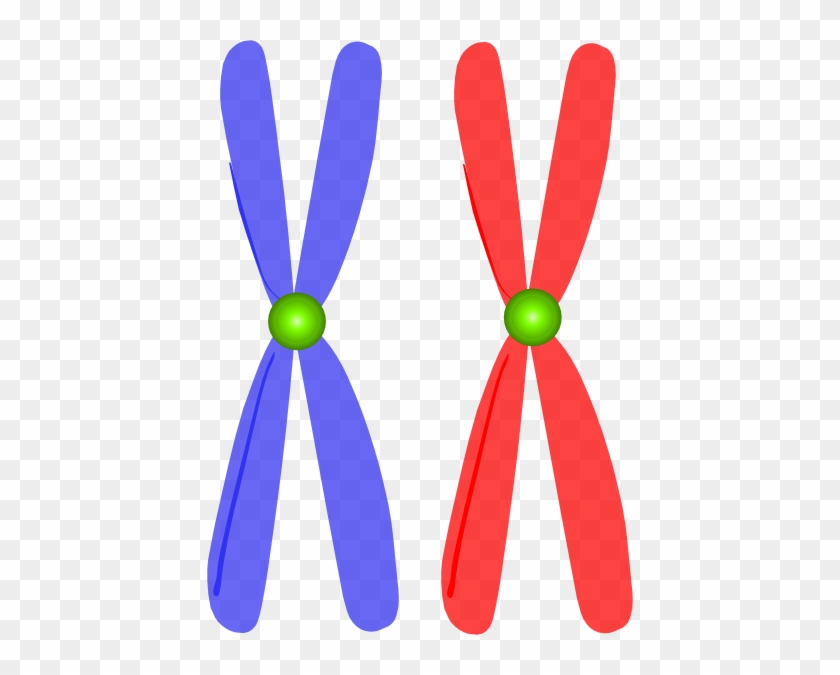 Chromosome Art Clip #403626