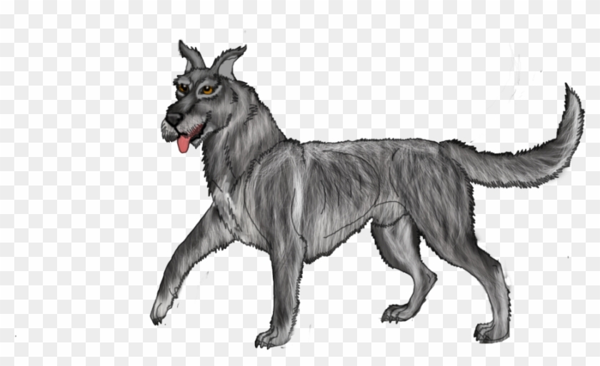 Mixed Breed Great Dane X Irish Wolf Hound Open By Lighteningfox - Irish Wolfhound #403873