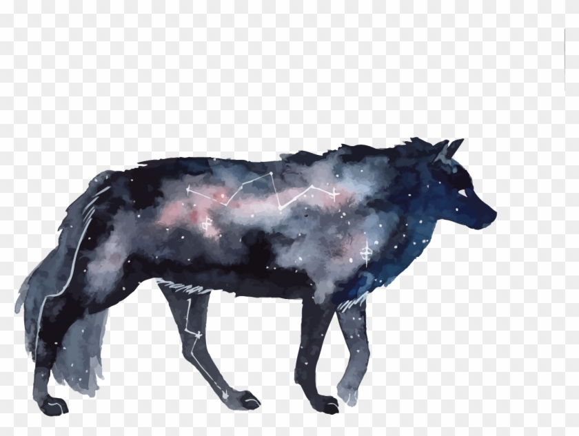 Gray Wolf Deviantart - Watercolor Galaxy Animals #403926