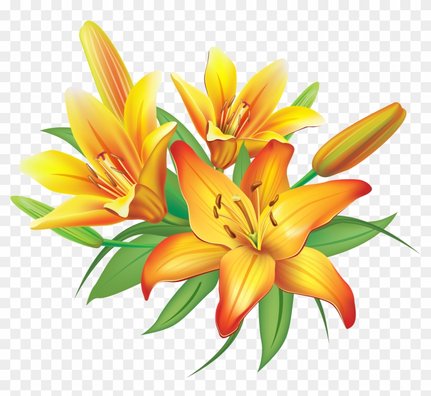 Yellow Lily Clipart - Lilies Clipart #404127