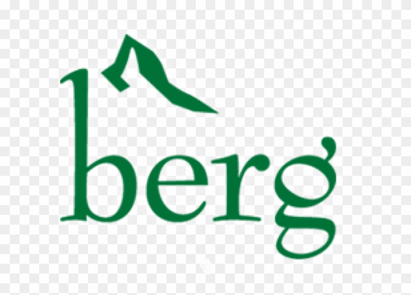 Буквы берг. Вода Berg. Аватарка Берг. Berg лого. Berg logo 2023.