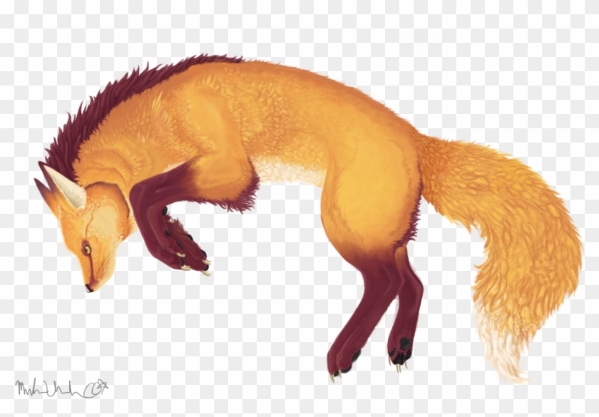 Fox Drawing png download - 774*1032 - Free Transparent Drawing png  Download. - CleanPNG / KissPNG