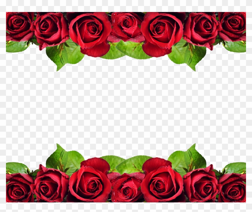 Bem Fácil Png - Rose Flower Design Border #404398