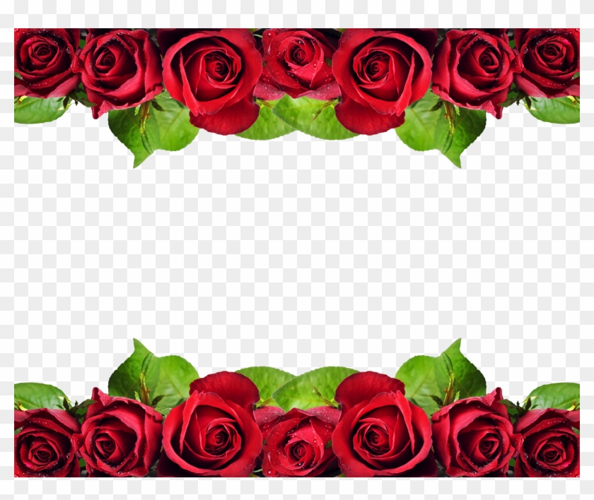 Png Rose Flower Design Border