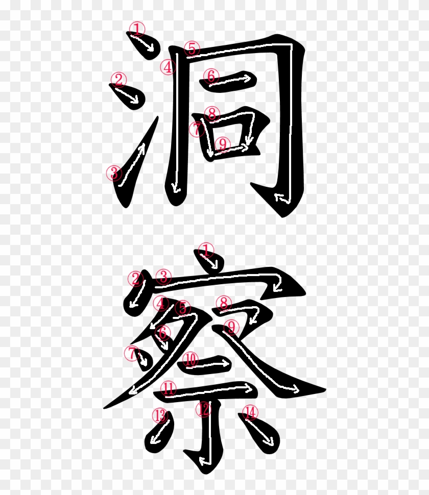 Kanji Stroke Order For 洞察 - 九十歳の省察: 哲学的断想 [書籍] #404429