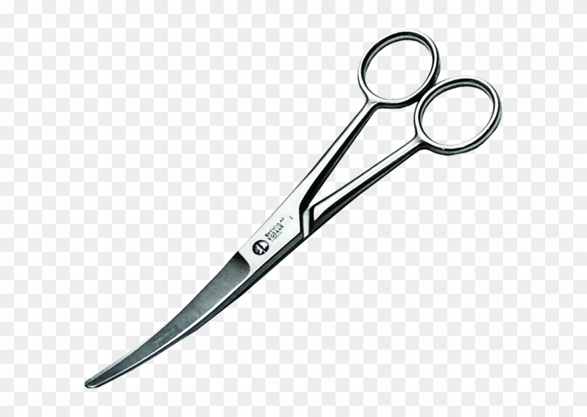 Aesculap Grooming Scissor - Scissors #404958