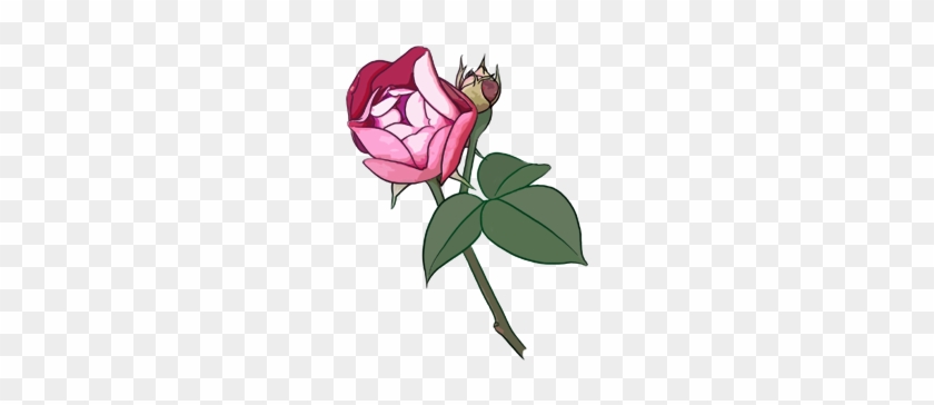 Garden Roses Beach Rose Cartoon Flower - Cartoon Rose Png #405456