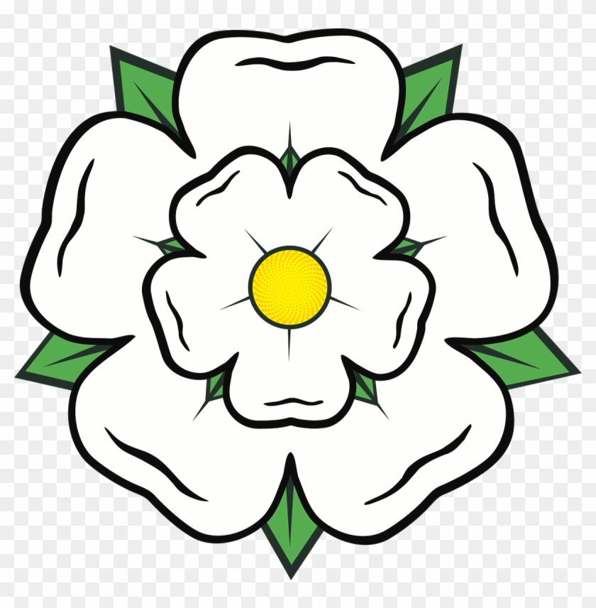 Cartoon Rose 20, - Yorkshire Rose #405698