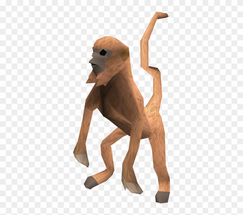 Monkey Pet The Runescape Wiki - Strychnos Spinosa #405732