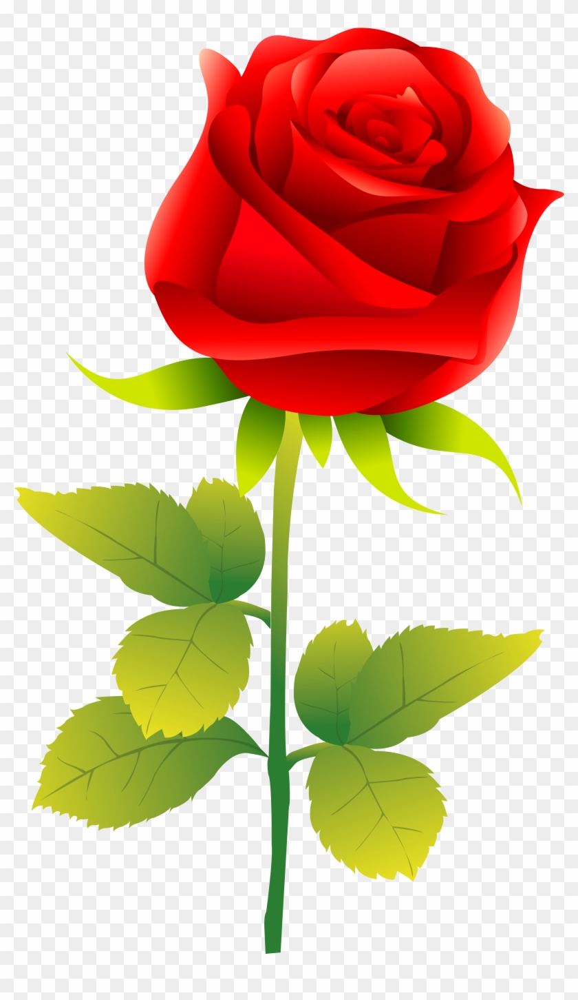 Rose Clip Art - Rose Vector Free #405767