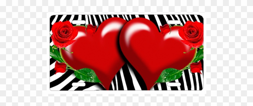 Red Hearts & Zebra Background - Zebra #405924