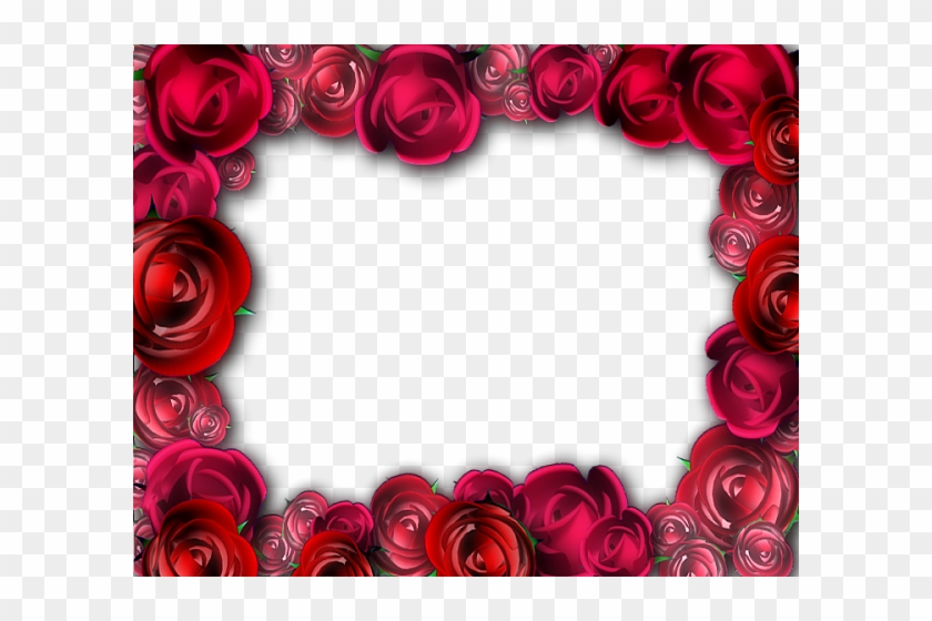 Transparent Roses Frame - Rose Petal Frame Transparent #405933
