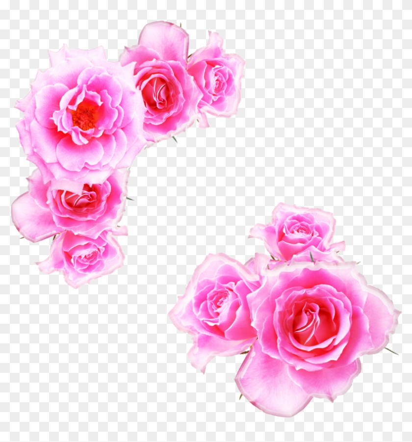 Watercolor Pink Rose - Pink Anime Rose Png #405962