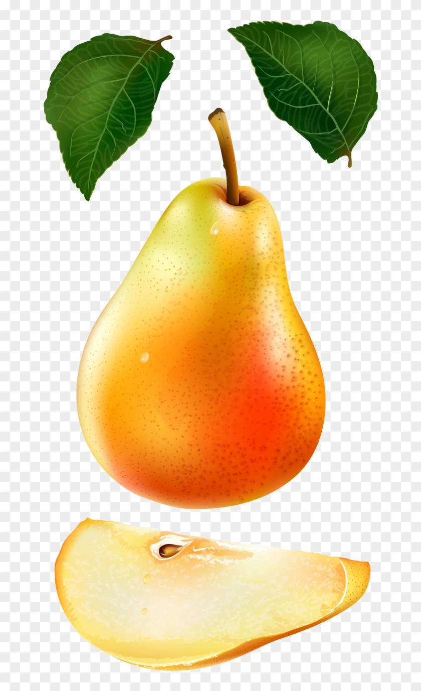 Asian Pear Euclidean Vector Auglis - Asian Pear Euclidean Vector Auglis #406186