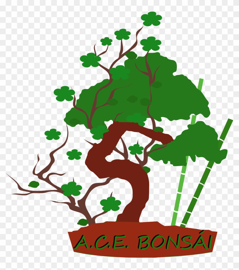 Según Su Tamaño Y Forma - Bonsai #406177