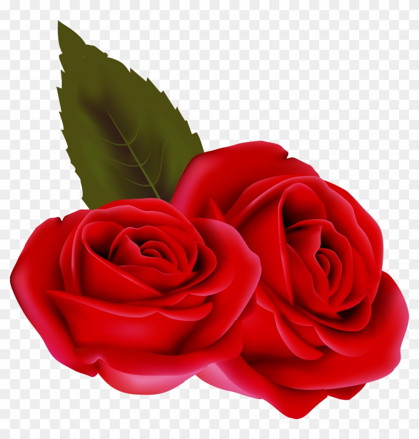 Bouqet De Roses Rosa Fleur Rouge Passion St Valentin - Rose Rouge Fond Transparent #406217