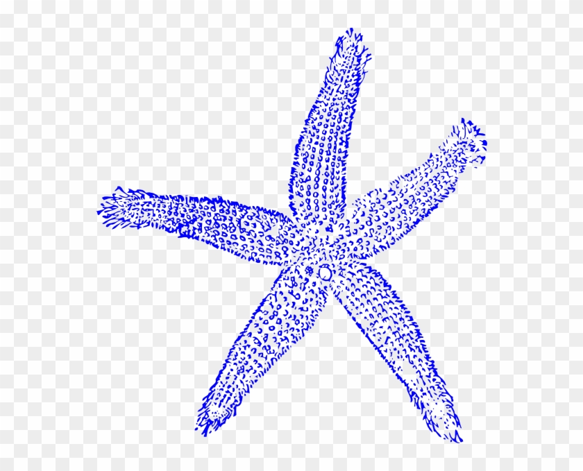 Starfish Blue Svg Clip Arts 564 X 599 Px - Estrella De Mar Vector #406216