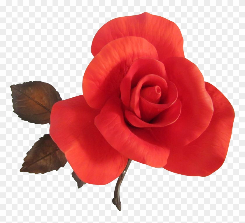 Stylist Burning Love Garden Rose Wondrous Boehm Red - Burning Rose Png #406241