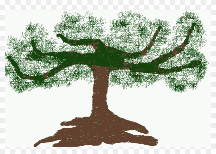 Clipart - - Bonsai Tree Clipart Png #406270