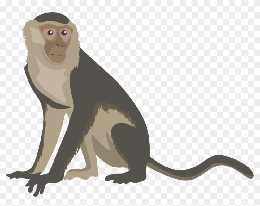 Monkey Clipart Png Image 03 - Capuchin Clip Art #406272