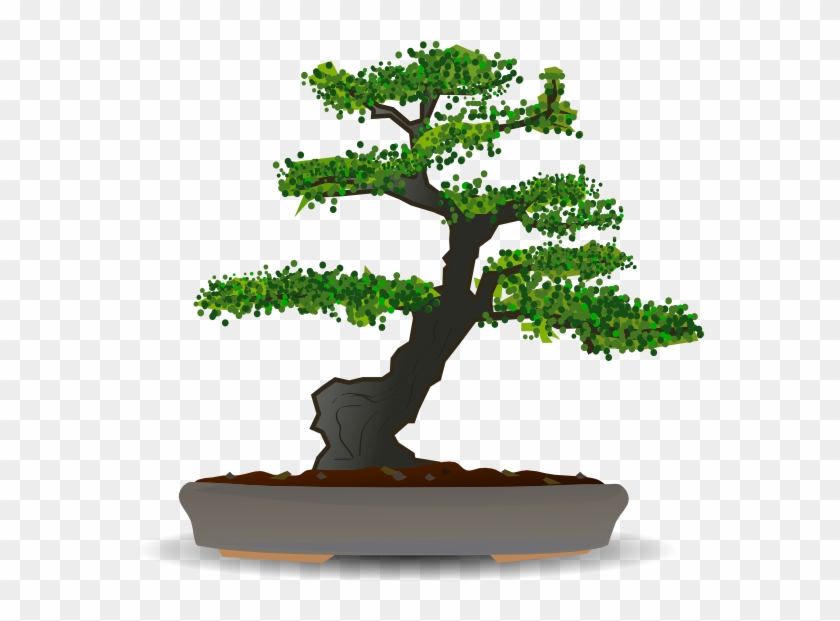 Bonsai Clipart Cartoon - Bonsai Vector #406351