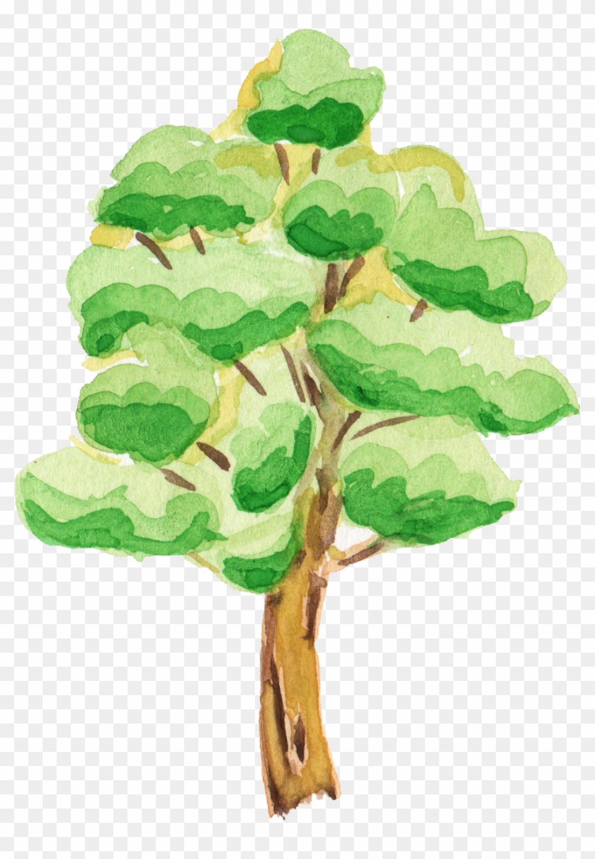 Tree Cartoon Png - Trees Forest Cartoon Transparent Background #406383