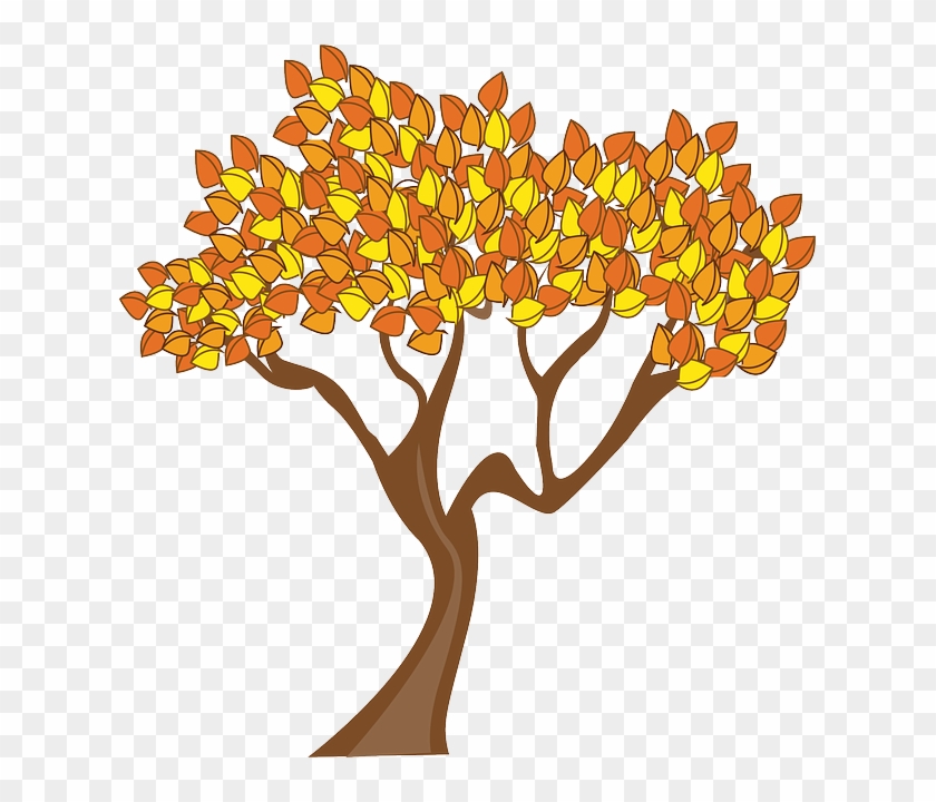 Autumn, Season, Tree, Leaves - Gambar Pohon Musim Gugur #406457