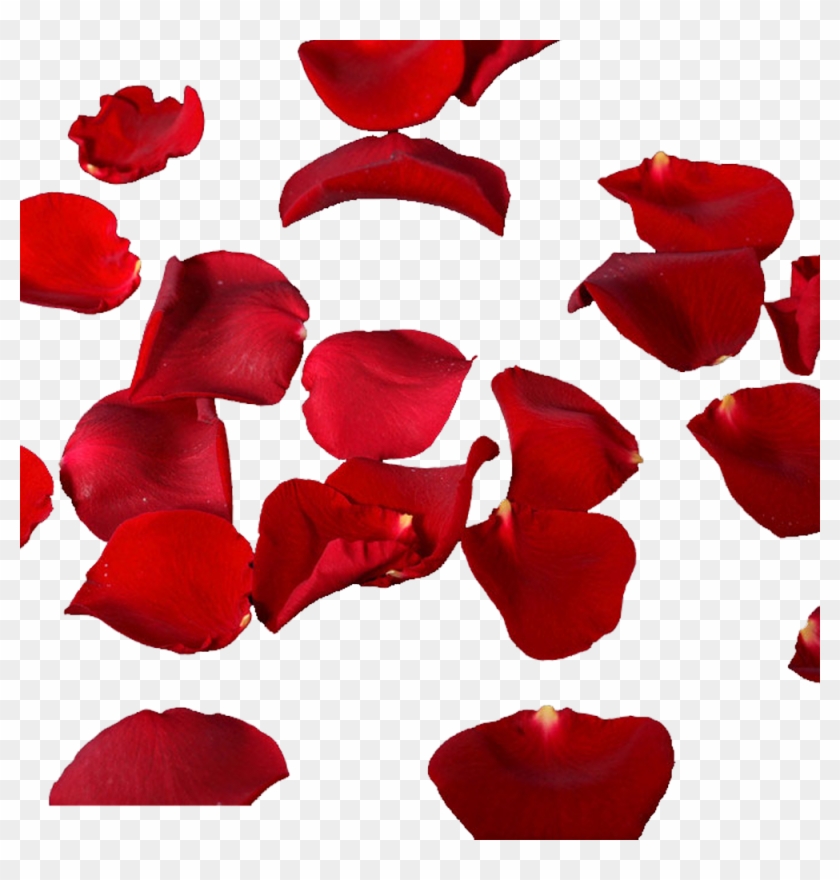 Rose Petals Falling Material - Rose Petals Falling Clipart #406479