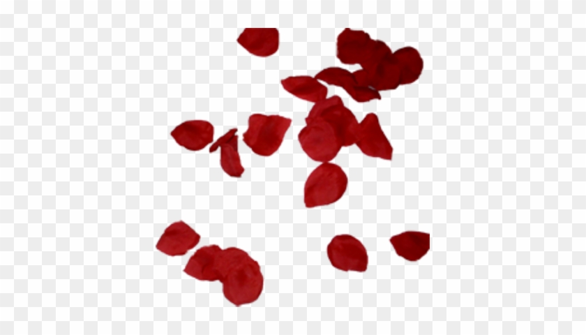 Rose Petals Falling Png Psd Detail - Petalas De Rosas Png #406494