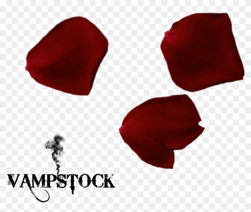 Rose Petal Png 6 Vampstock By Vampstock - Love My Family Background #406564