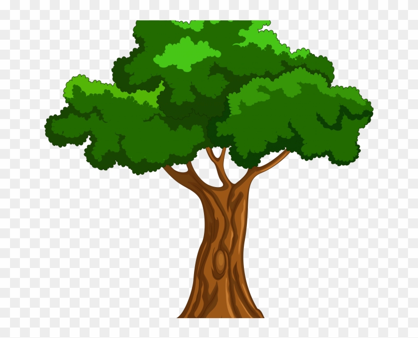 Tree Cartoon Picture Trees Clipart Clipartfest For - Big Book Of Beginner Reading Stories By Naomi Bradley #406565