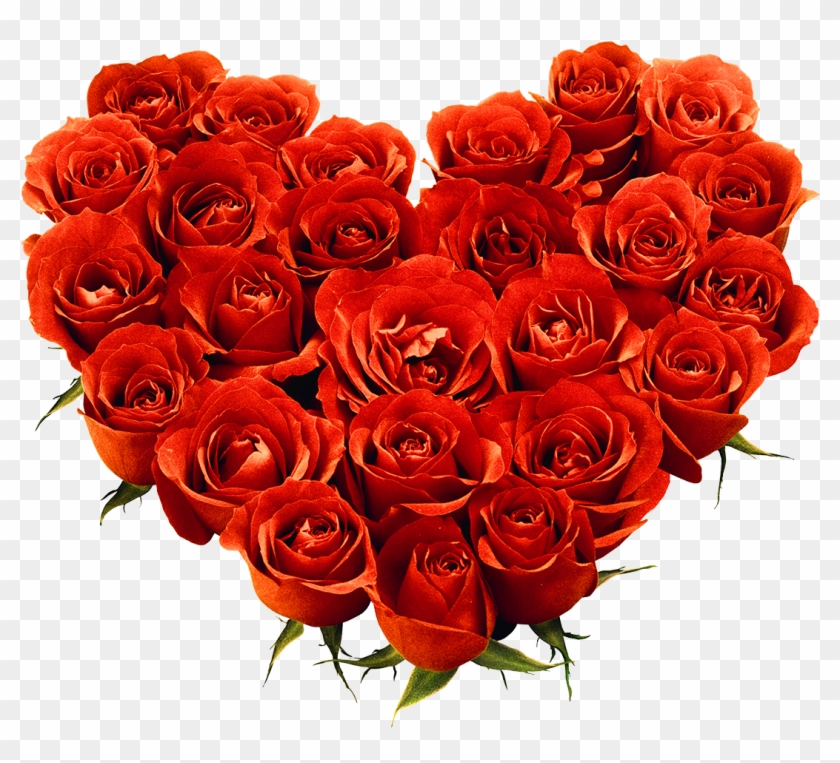 Red Rose Love Heart - Love Rose Flower Png #406569