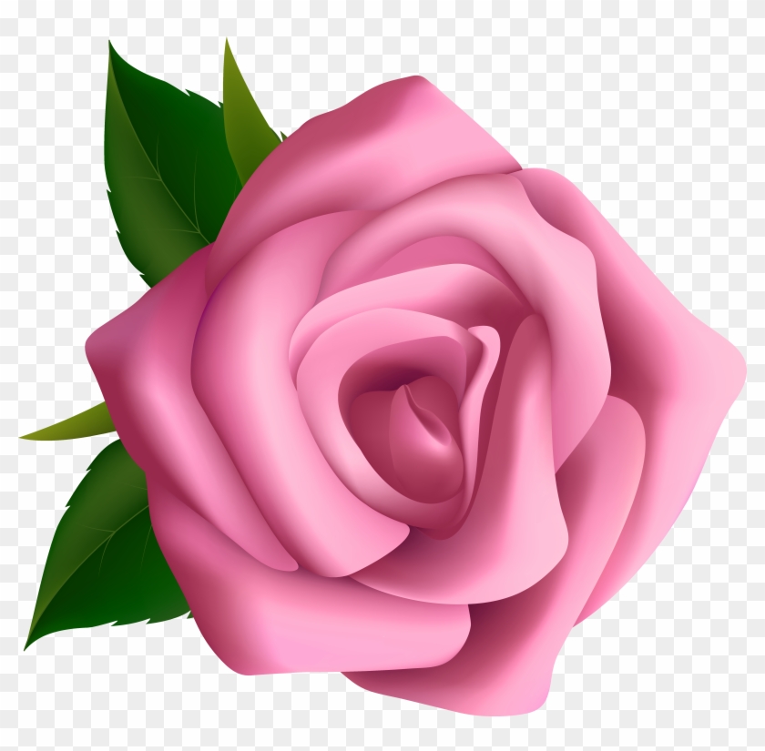 Long Clipart Flower Stalk - Rose Pink Clipart #406590