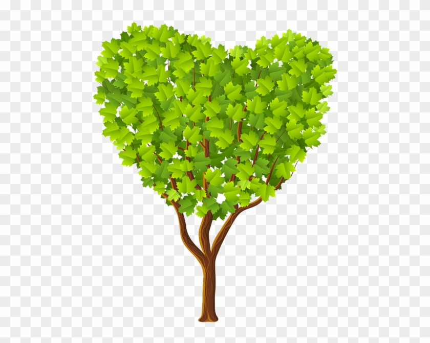 Green Heart Tree Transparent Png Image - Heart Tree Transparent #406580