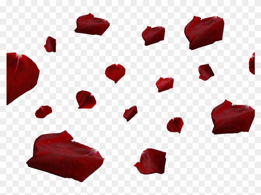 Red Rose Petals Png - Red Rose Petals Png #406589