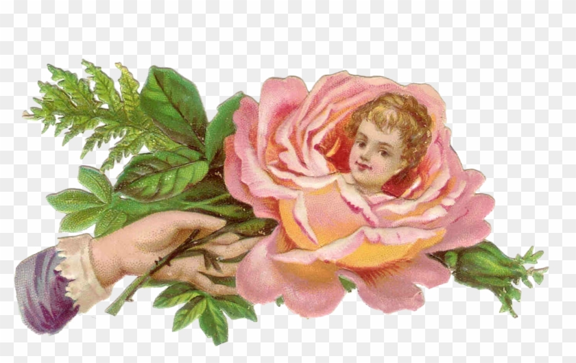 Pink Rose Clipart One - Tinypic #406592
