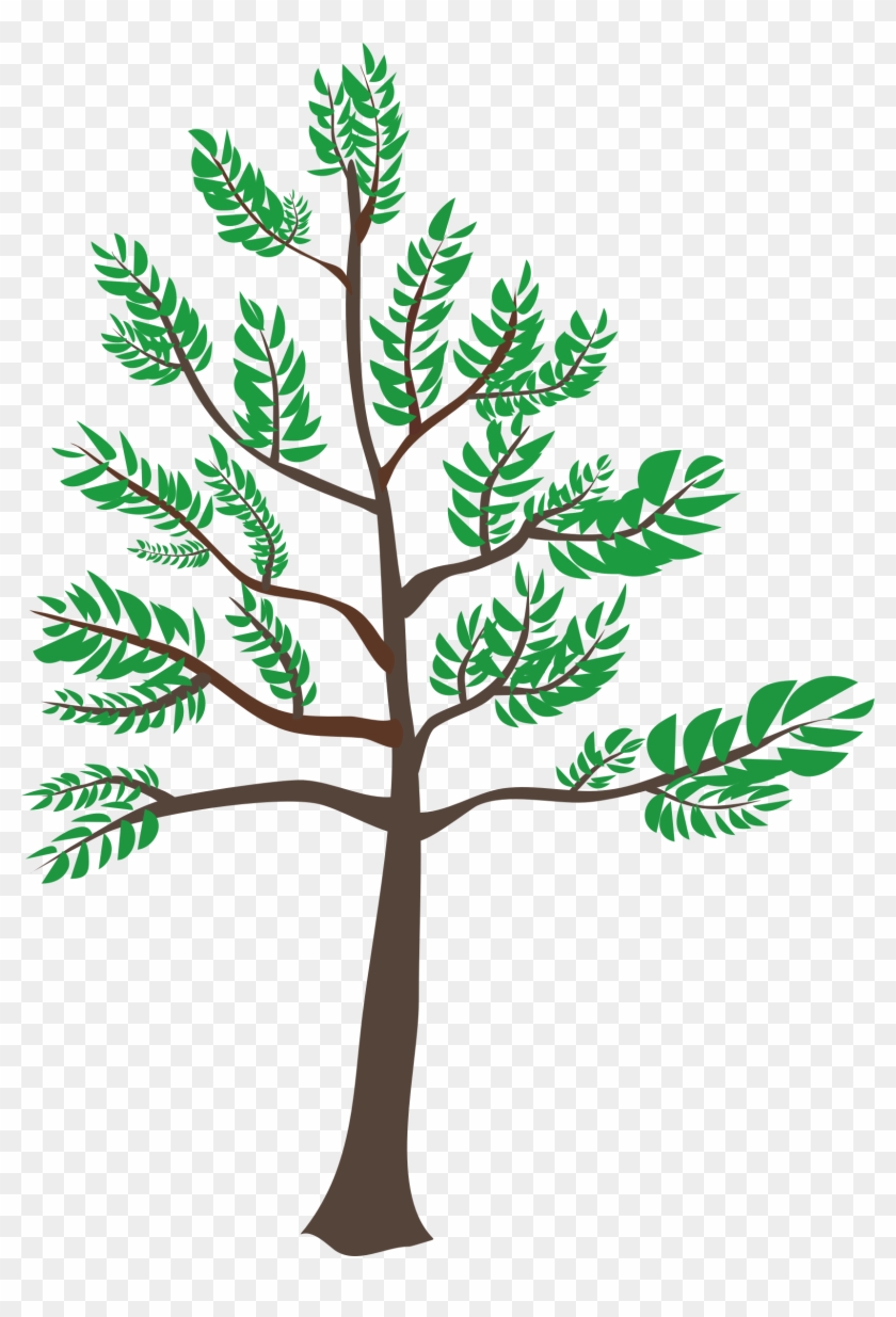 Clipart - Cedar Tree Clipart #406614