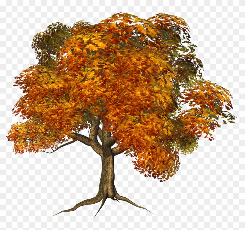 Fall Tree Clipart Png - Tree #406616