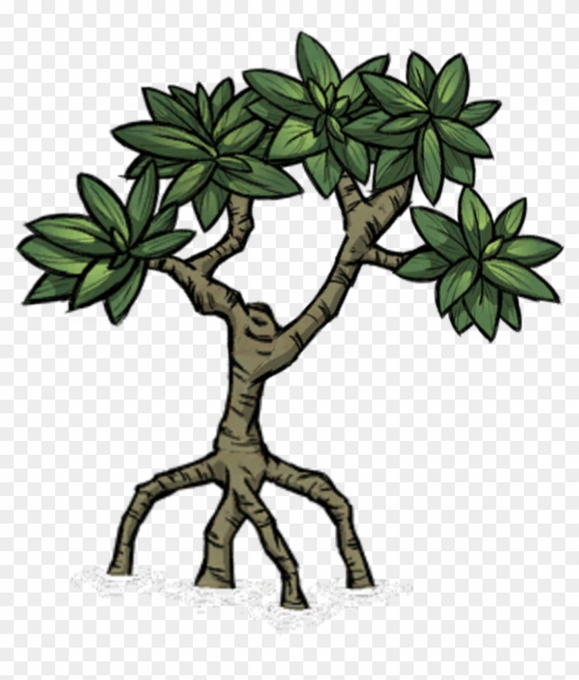 Tree/mangrove Tree - Dont Starve Trees #406622