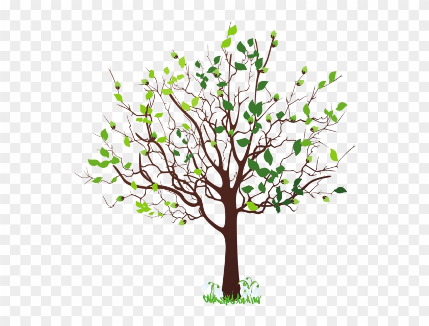 Spring Tree With Snowdrops Png Clipart Picture - Tree Clip Art Png #406627