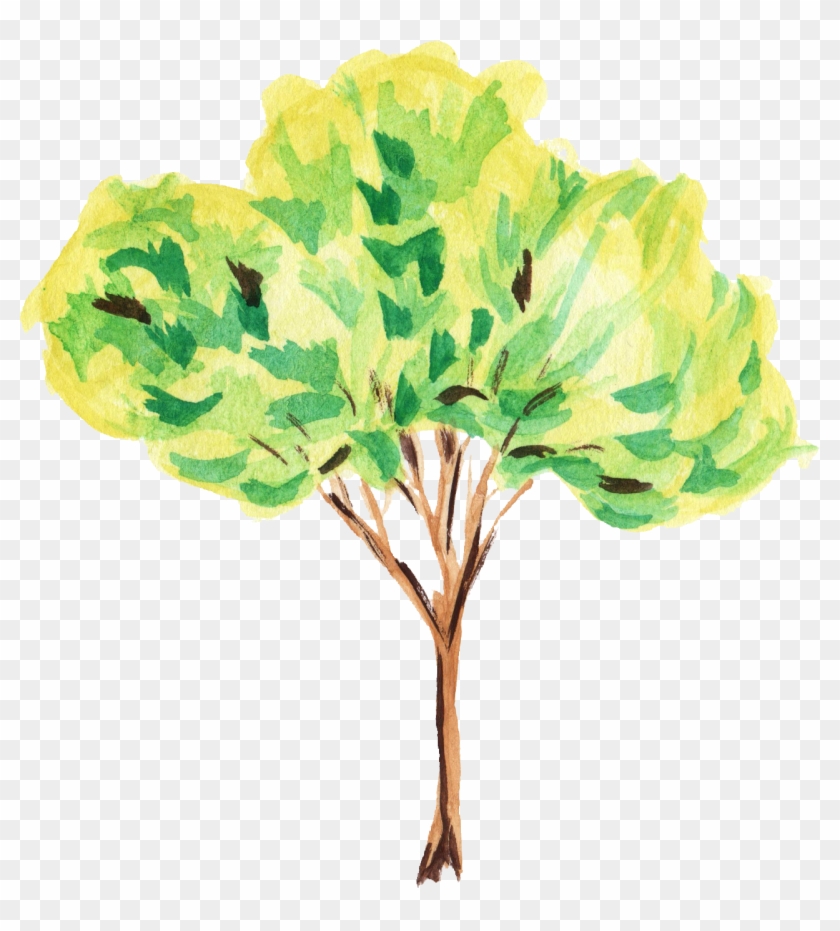 12 Watercolor Tree - Tree Paint Png #406633