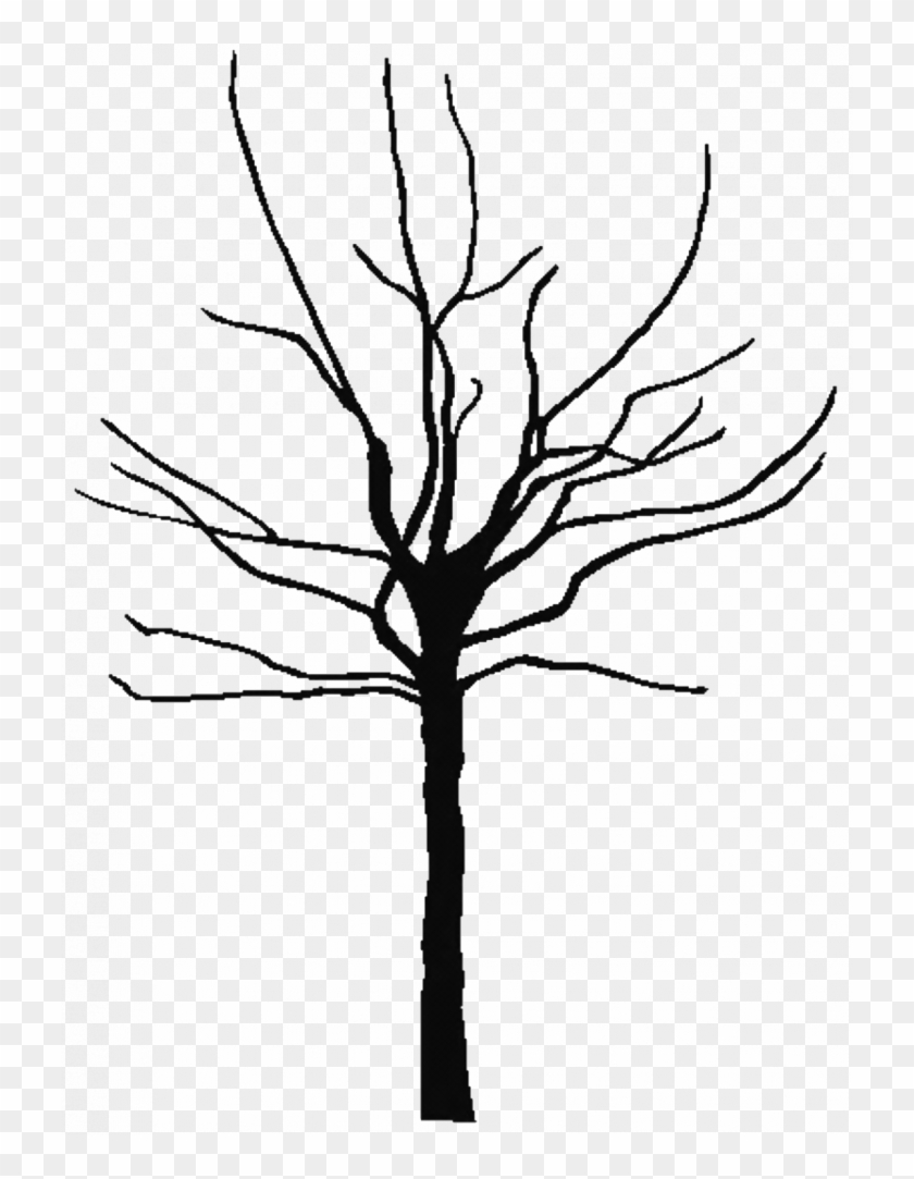 Tree Black And White Outline Clip Art On Apple Images - Bare Tree Silhouette Png #406664