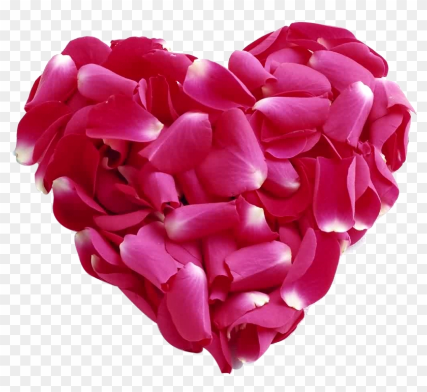 Pink Rose Petal Heart Png - Rose Patels Heart Png #406667