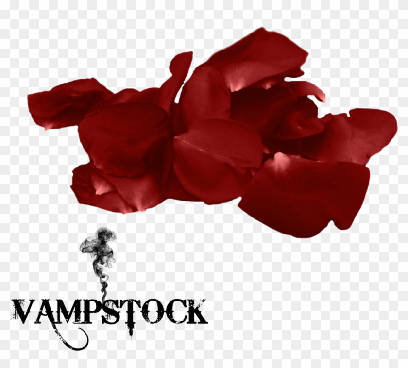 Rose Petal Png 8 Vampstock By Vampstock - Love My Family Background #406669