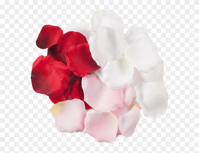 Add A Touch Of Elegance With Delicate Rose Petals Whether - Petal #406671