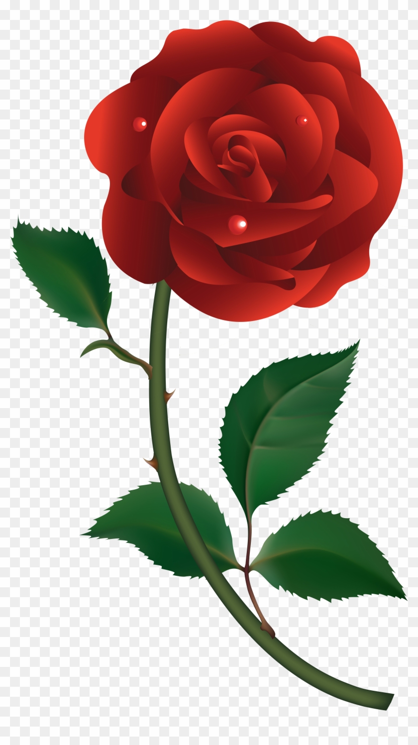 Red Rose Vector - Gül Resmi Png #406684