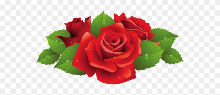 Beautiful Red Rose Png Picture - Sandylion Red Roses Essentials Handmade Sticker, 2 #406685