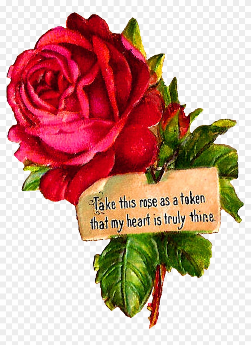 Pink Rose Clipart Dozen Rose - Clip Art #406700