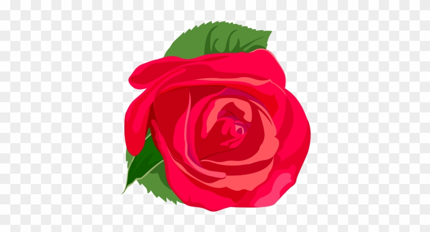 Rose Flower Euclidean Vector - Rosa Vetor #406707