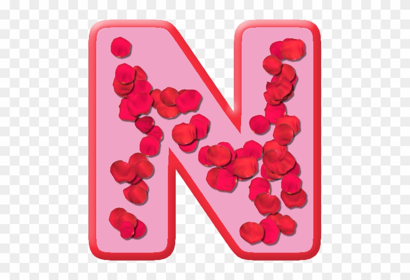 Letter N Rose Petals #406751